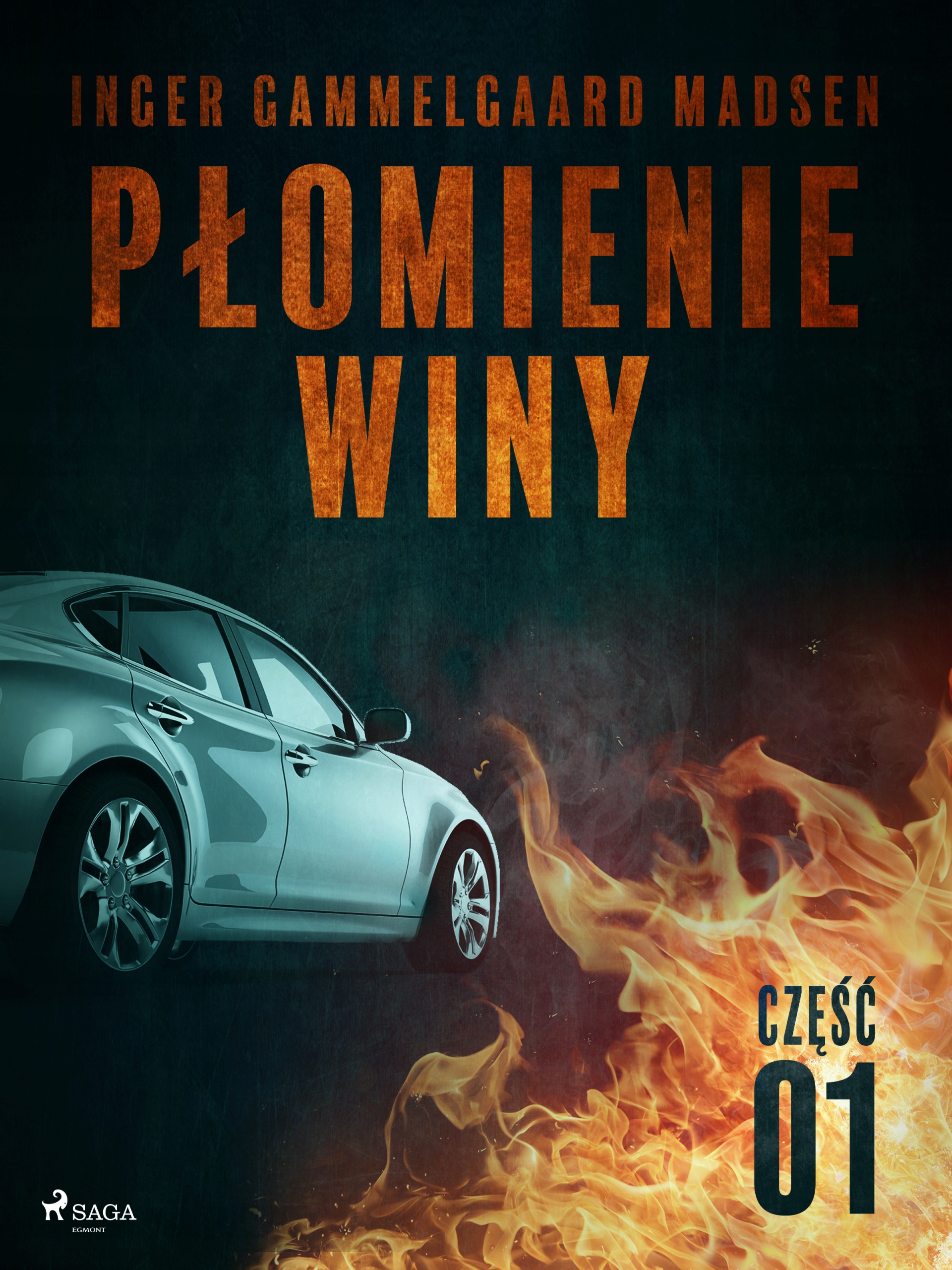 Płomienie winy: część 1 - e-book