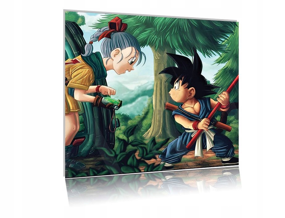 

Obraz szklany na szkle Dragon Ball 09 30x30