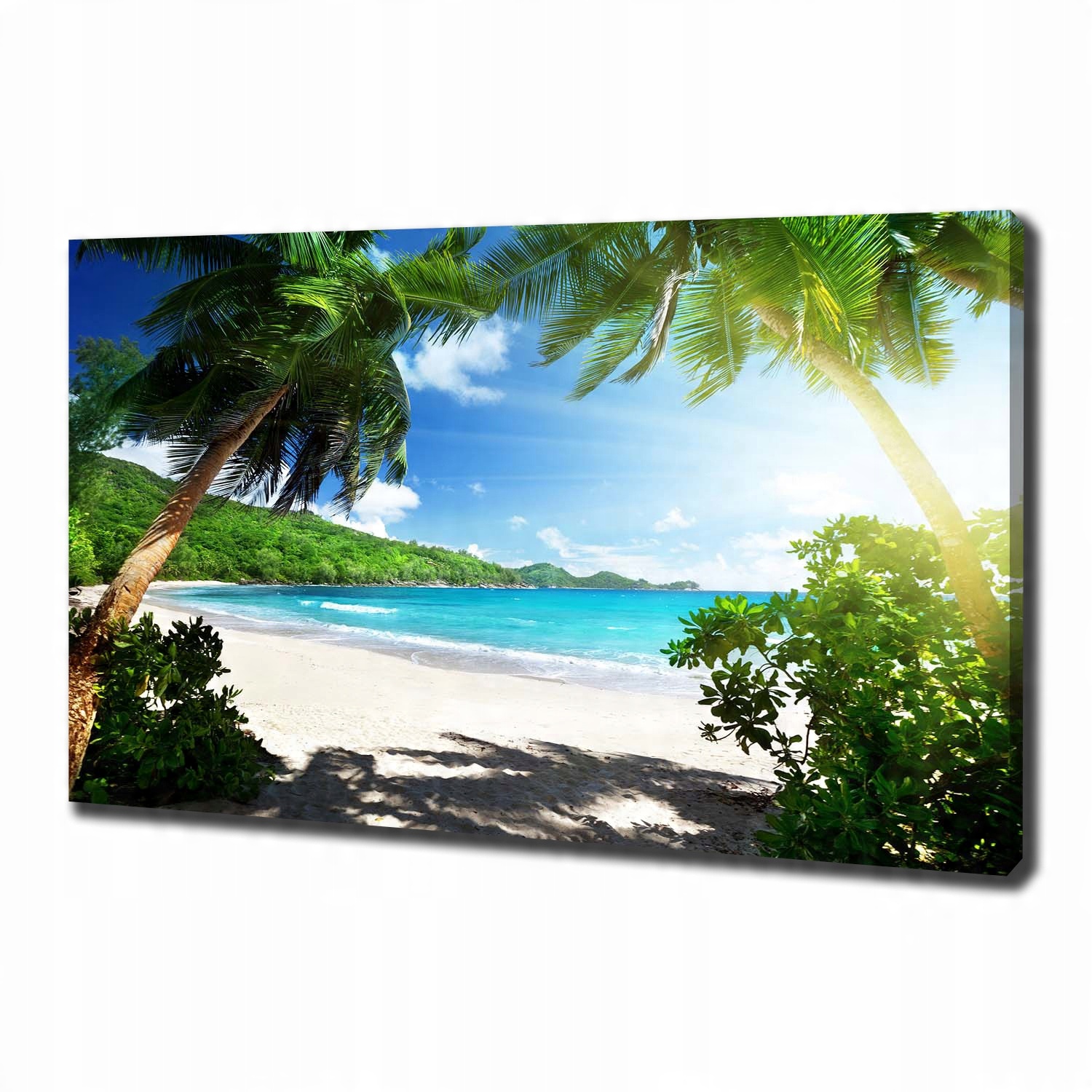 

Foto obraz na płótnie Seszele plaża 100x70 cm