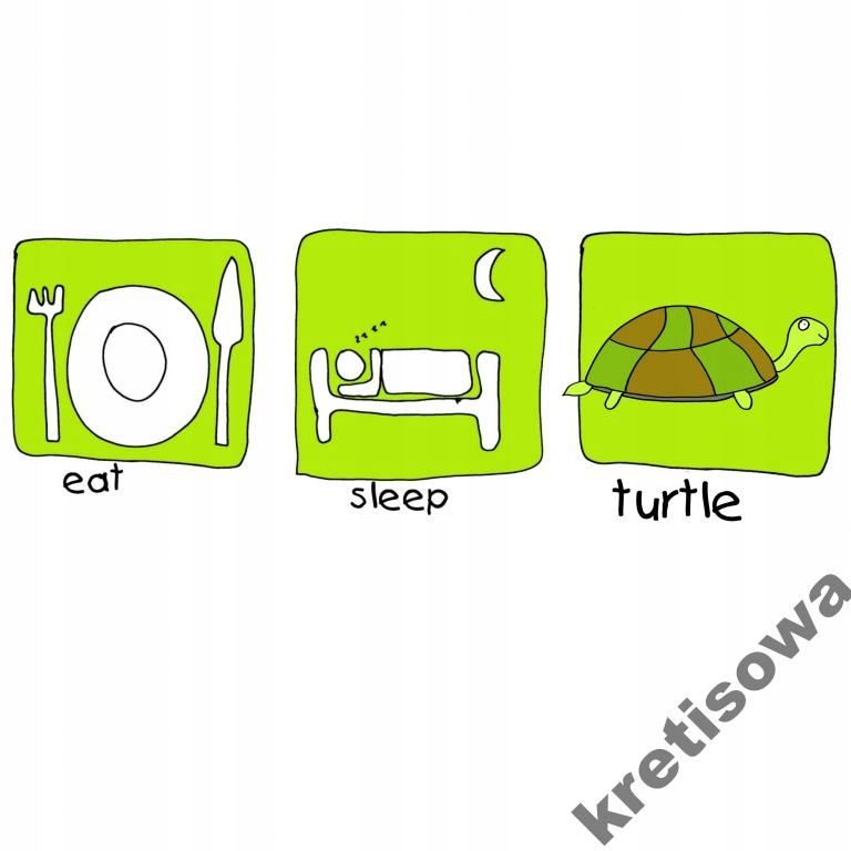 

Damska Koszulka Żółw Żółwik Turtle Wzory z9a