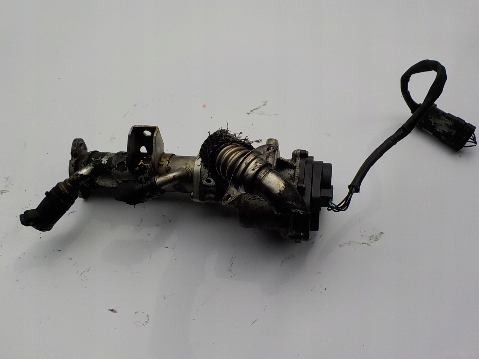 RANGE ROVER SPORT 3.6 V8 ORG AGR-Ventil 6H4Q-90475-CA