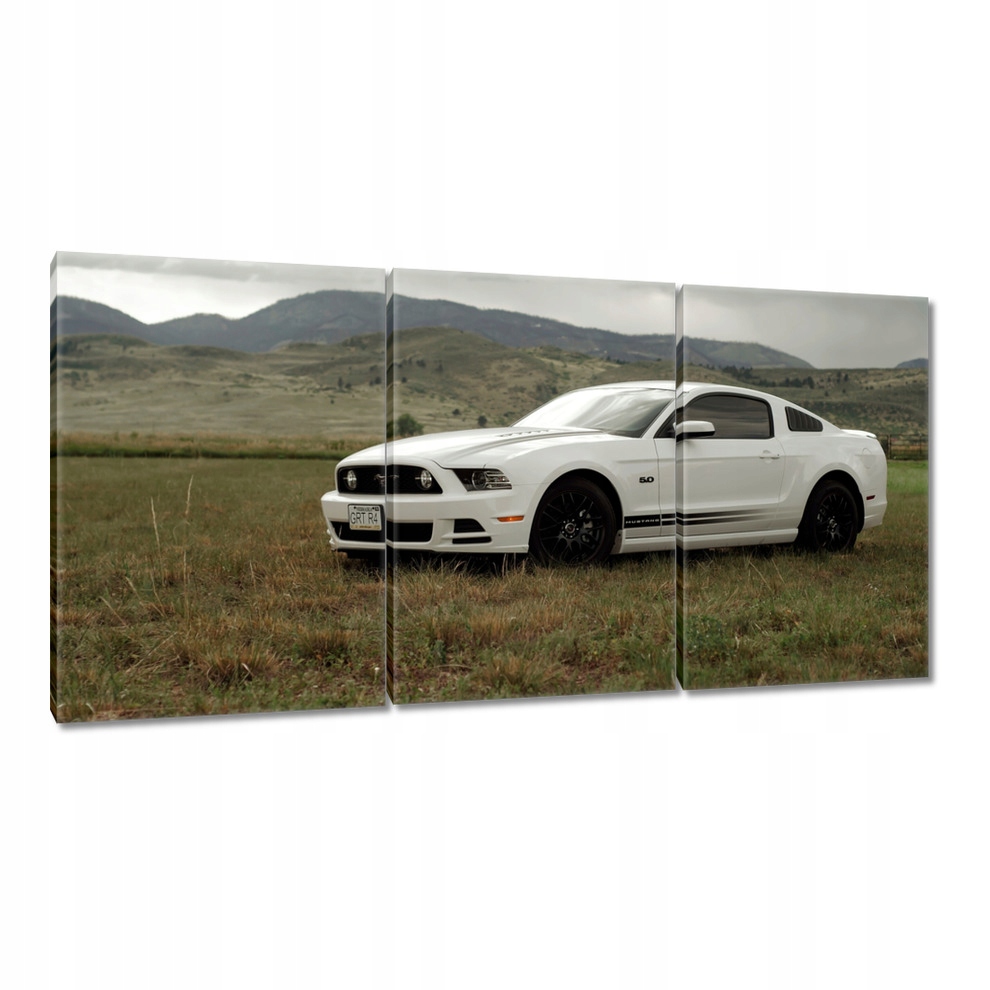 

Obrazy 240x120 Biały Ford Mustang