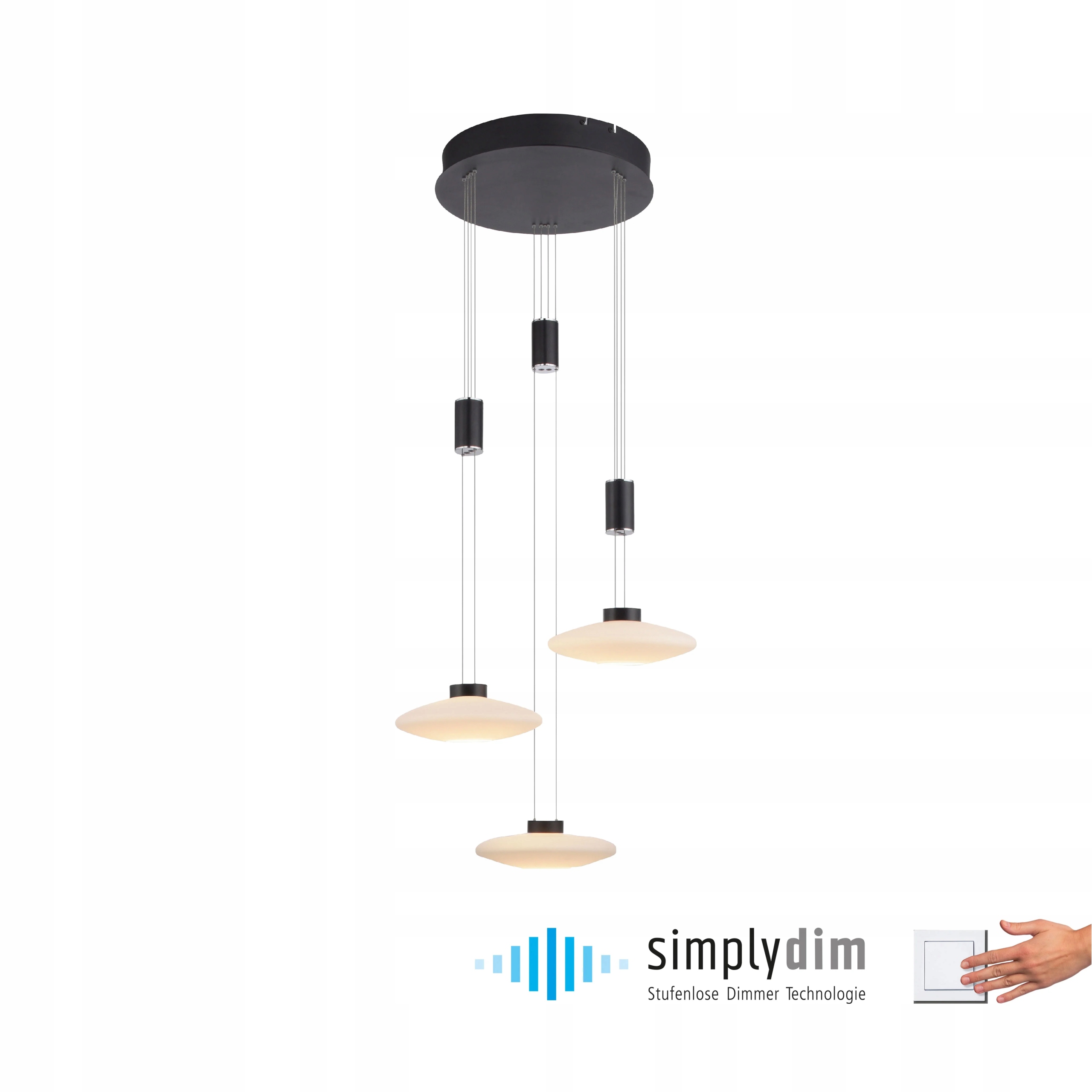 Stropná lampa Paul Neuhaus Lautada 22.5W Led 56 cm čierna IP20