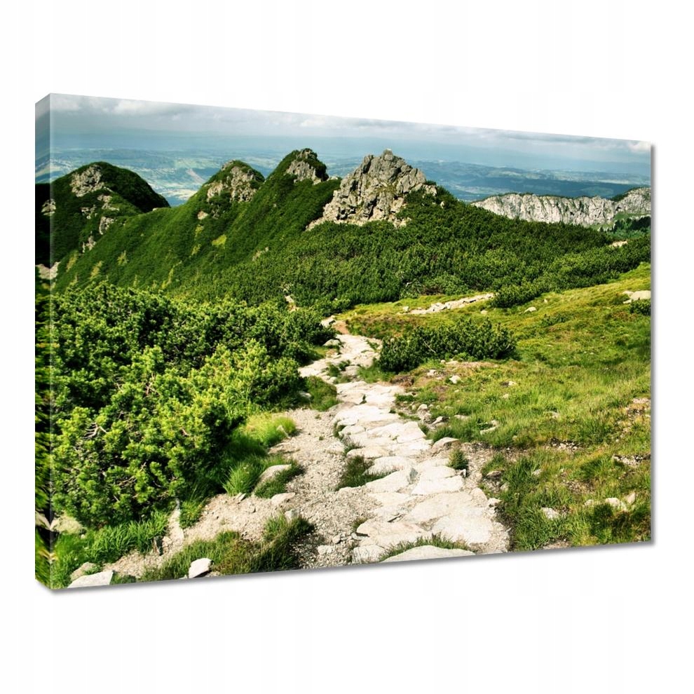 

Obrazy 40x30 Tatry Polskie góry Widok