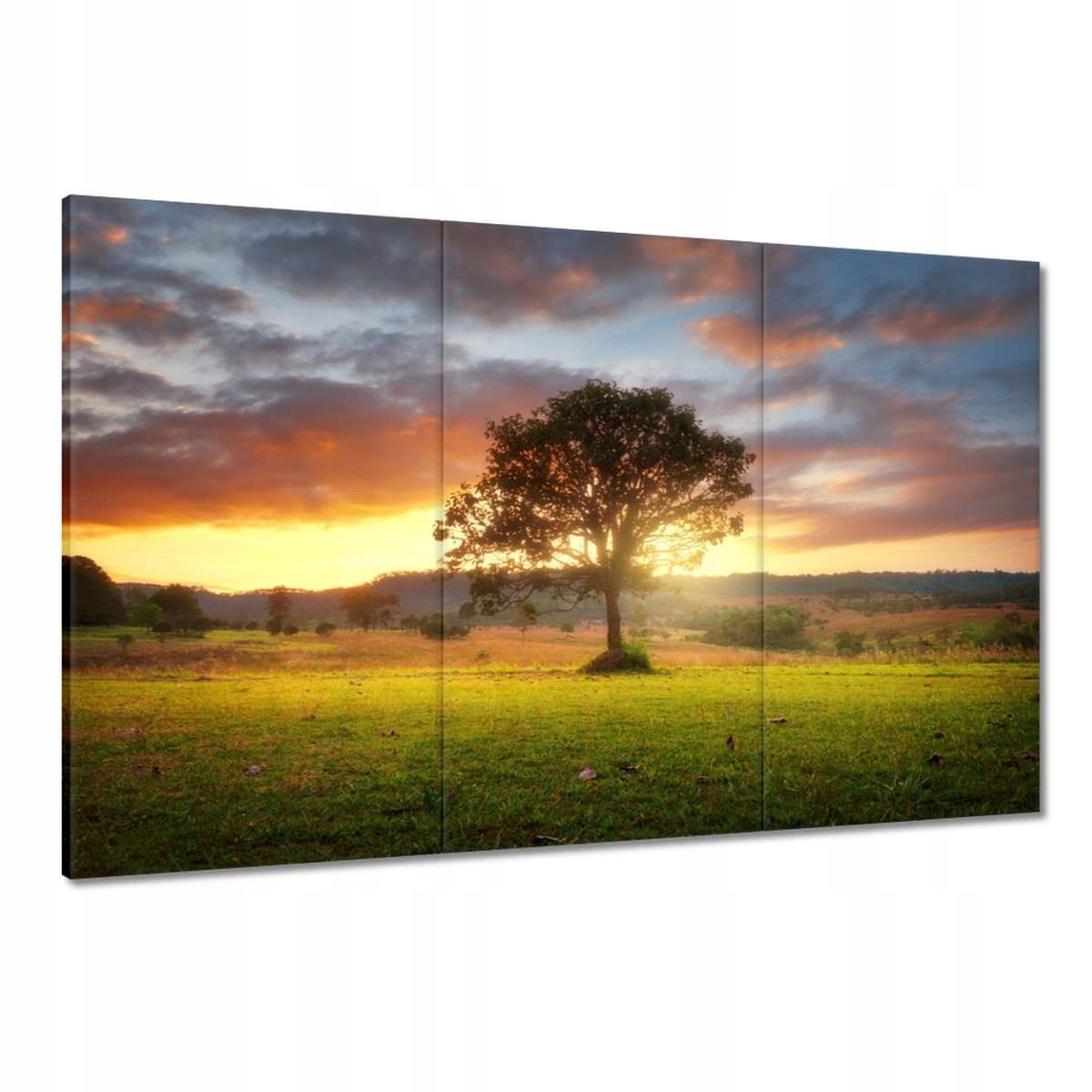 Obrazy 120x80 Kouzelná krajina