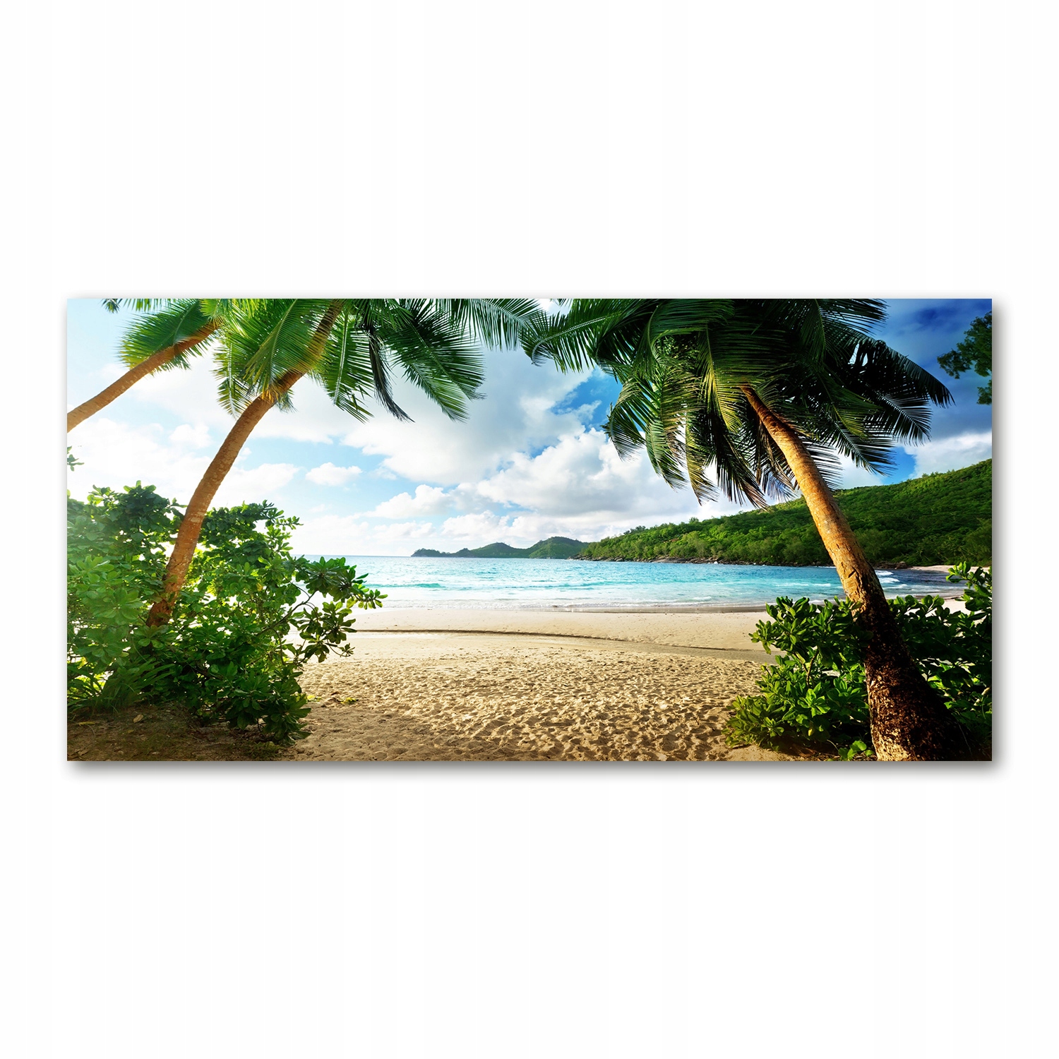 

Foto-obraz akryl Palmy na plaży zdjęcie 140x70 cm