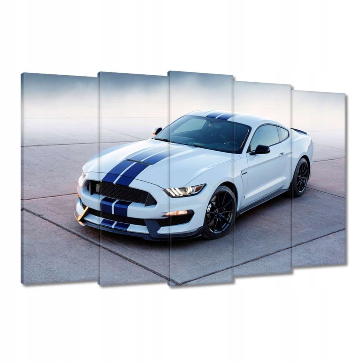 Obrazy 150x95 Ford Mustang Shelby