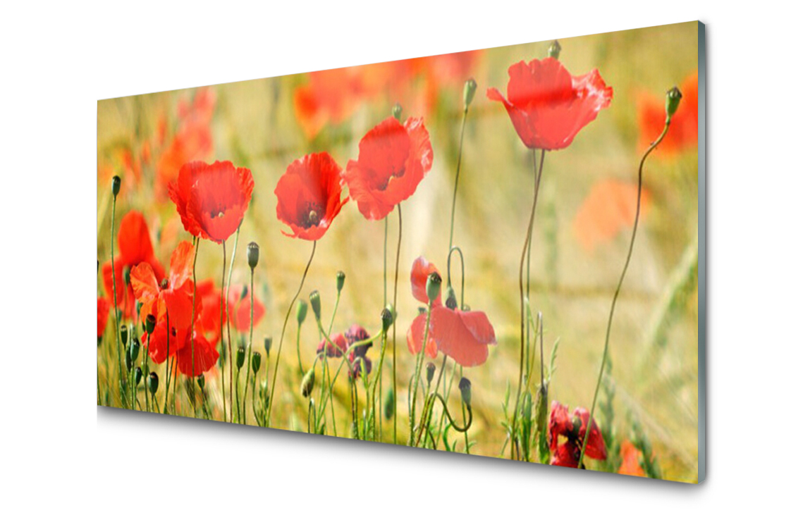 Dekoratívny sklenený panel Maki Rastlina 100x50