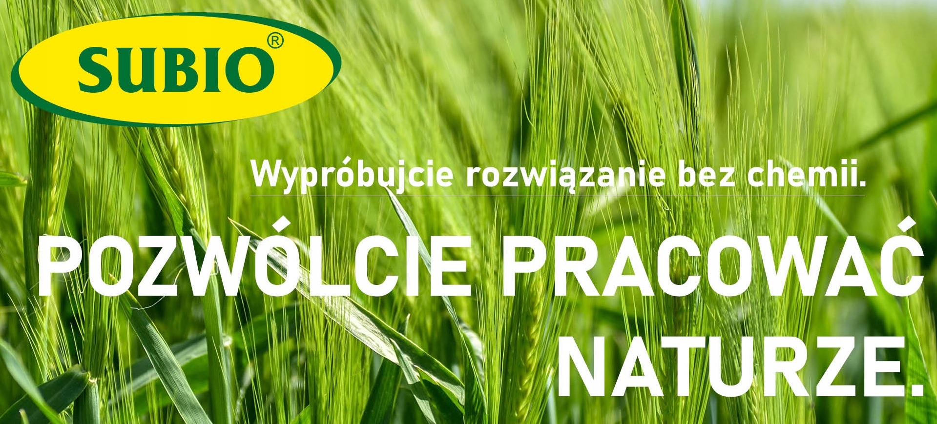 STOP PLEŚNI - USUWA PLEŚŃ BEZ CHEMII NIESZKODLIWY Marka Subio