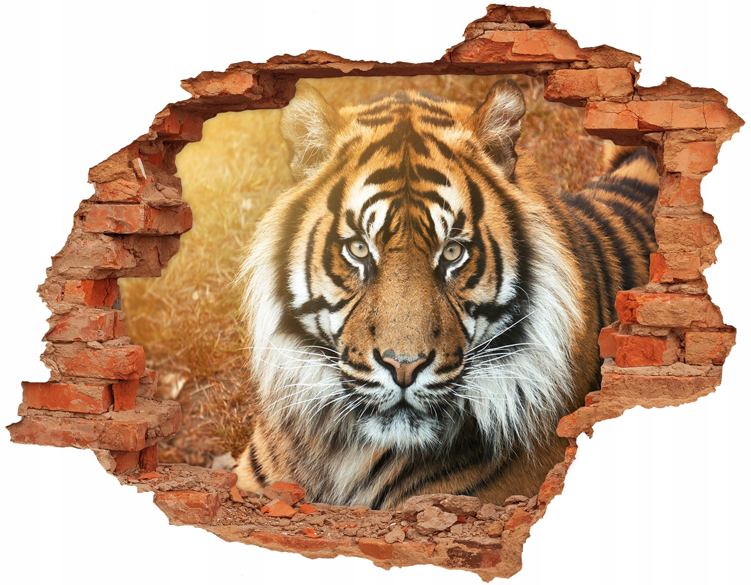 

Naklejka dziura ozdoba 148x115 cm Tygrys bengalski