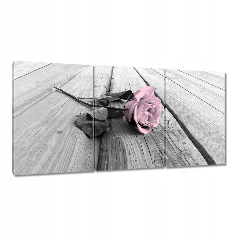 

Obrazy 120x60 Pudrowy róż Old pink Rose