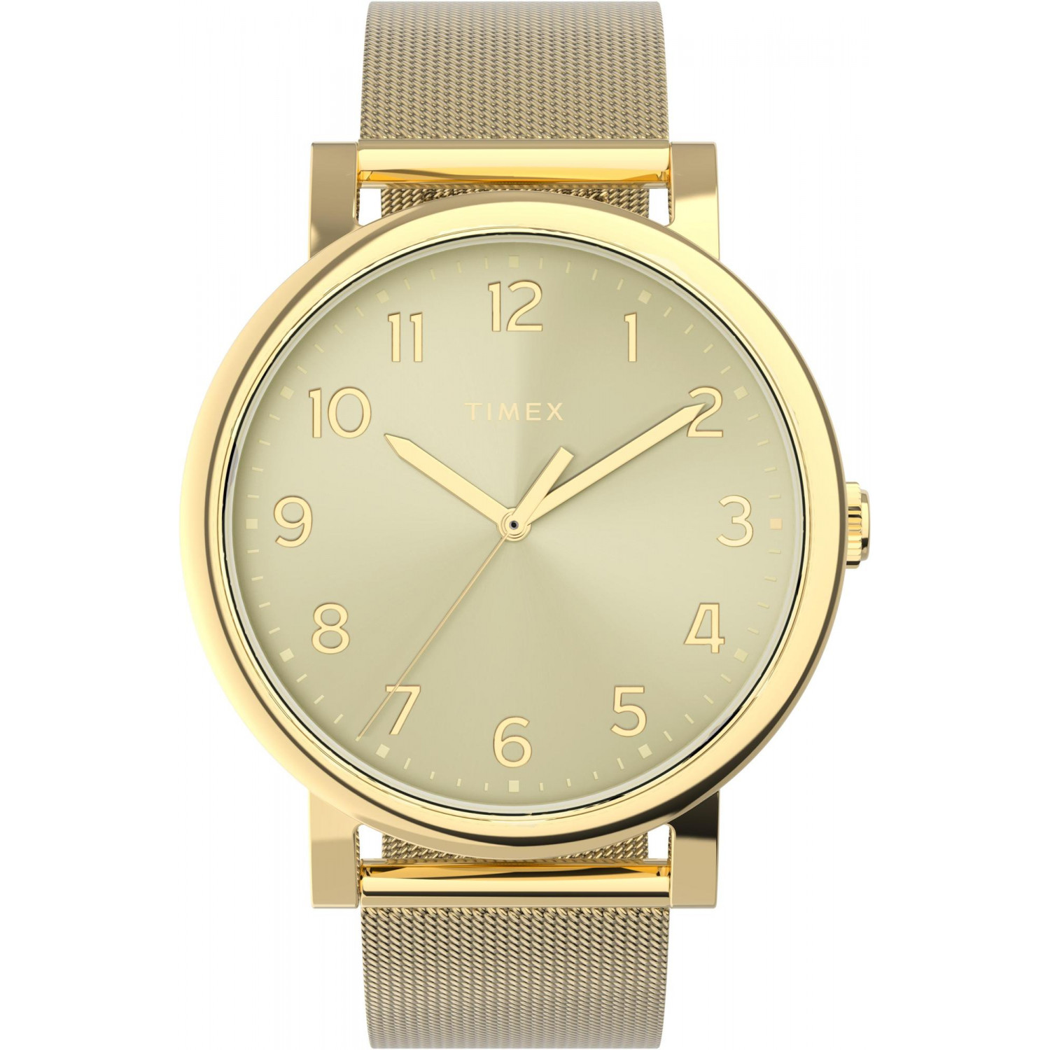 Dámské hodinky Timex TW2Y68900 zlaté