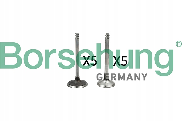 B18662 - ВИХЛОПНІ ВСМОКТУВАЛЬНІ КЛАПАНИ KPL BORSEHUNG