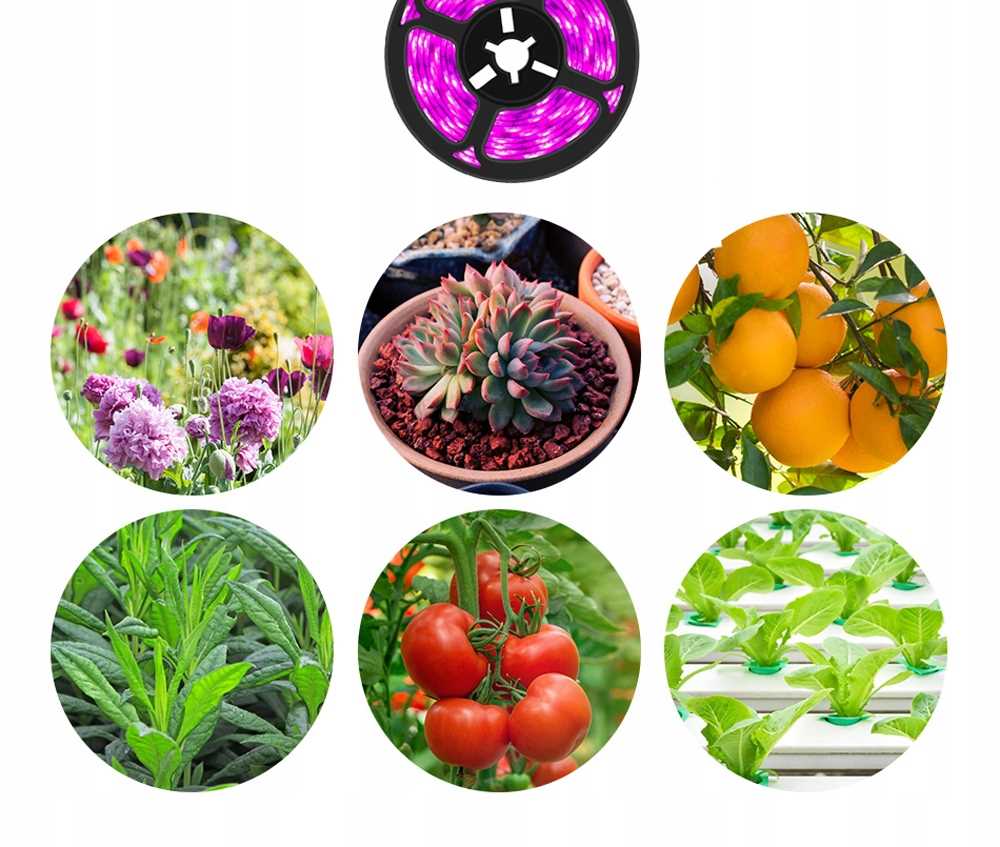 TAŚMA LED OŚWIETLENIE DO WZROSTU UPRAWY ROŚLIN UV WODOODPORNA 100CM 60LED Kąt świecenia 120°