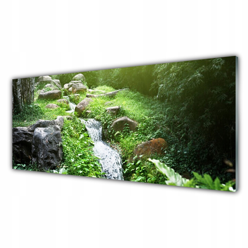 

Obraz ścienny 125x50 cm Potok Trawy Natura Roślina