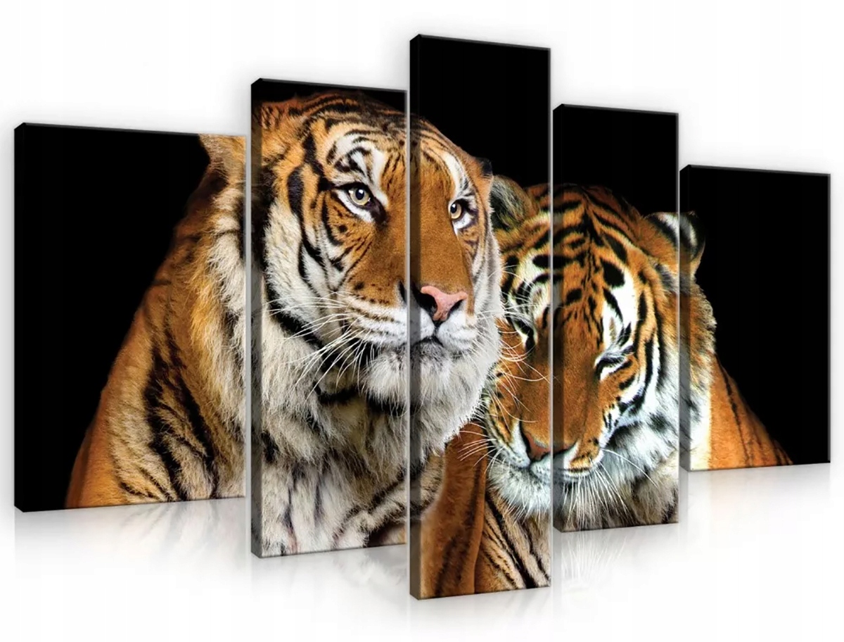 Obraz Na Plátne Canvas 170x100 Tiger Mačka Zviera