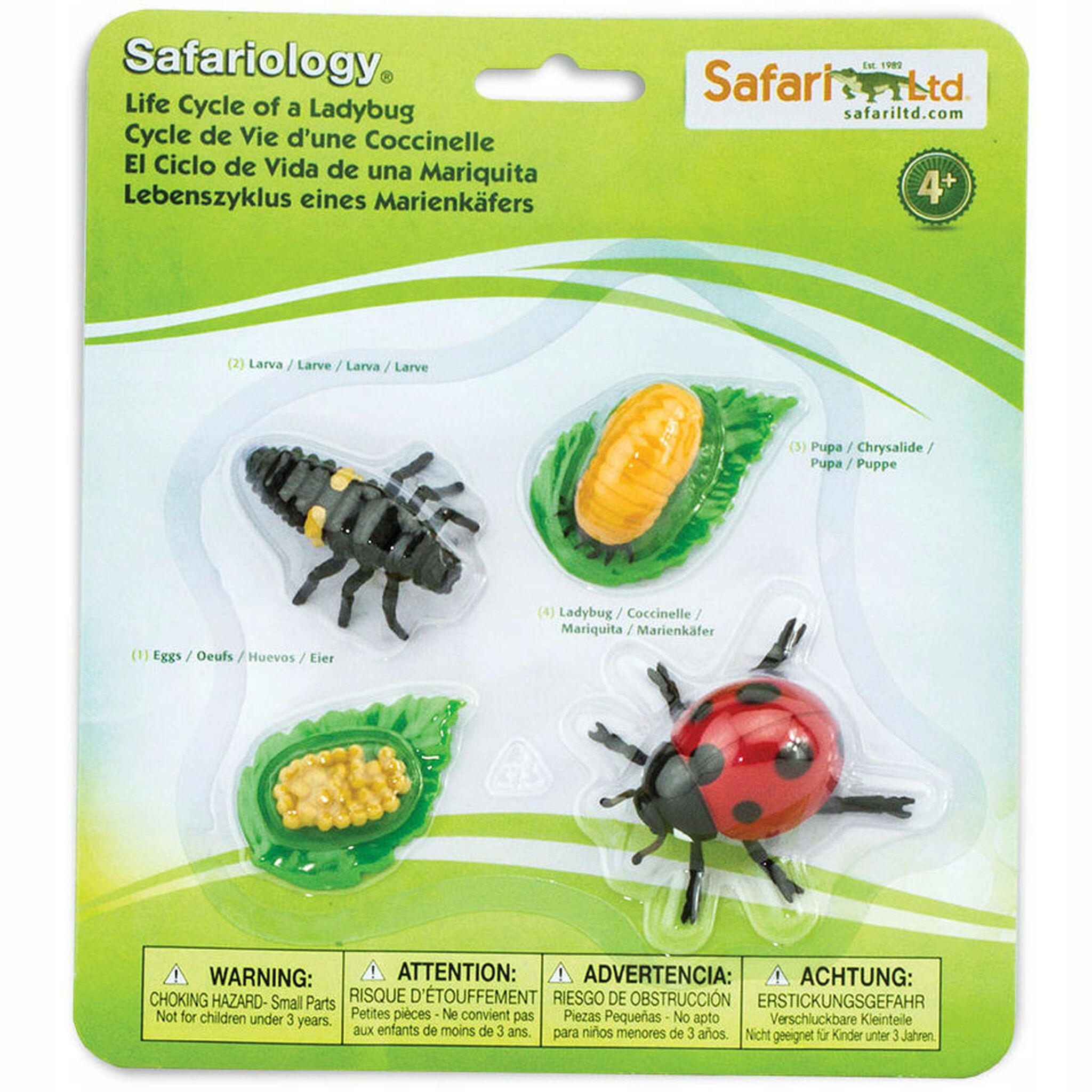 

Figurki Cykl Życia Biedronki - Safari Ltd. 662716