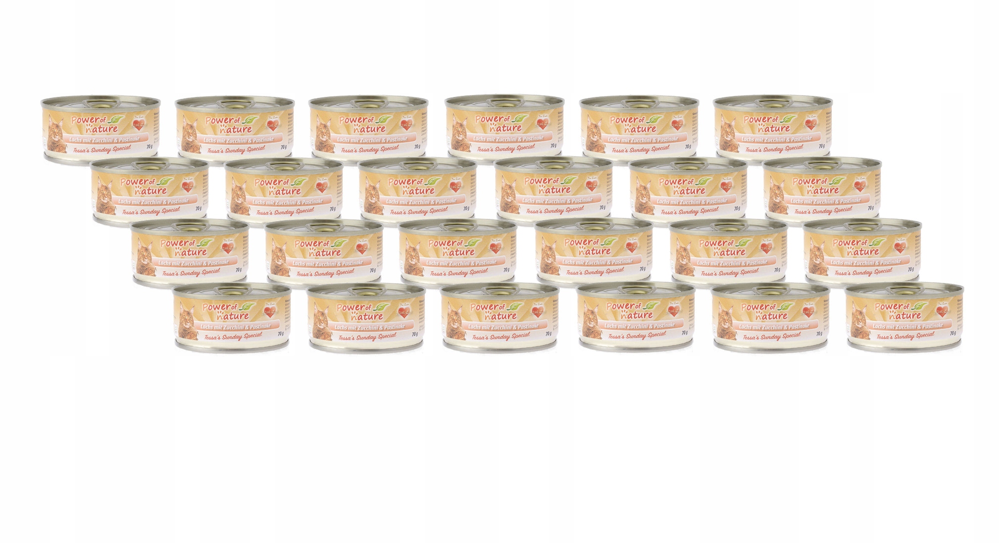 Power of Nature losos s cuketou a pastinákem 24x70 g