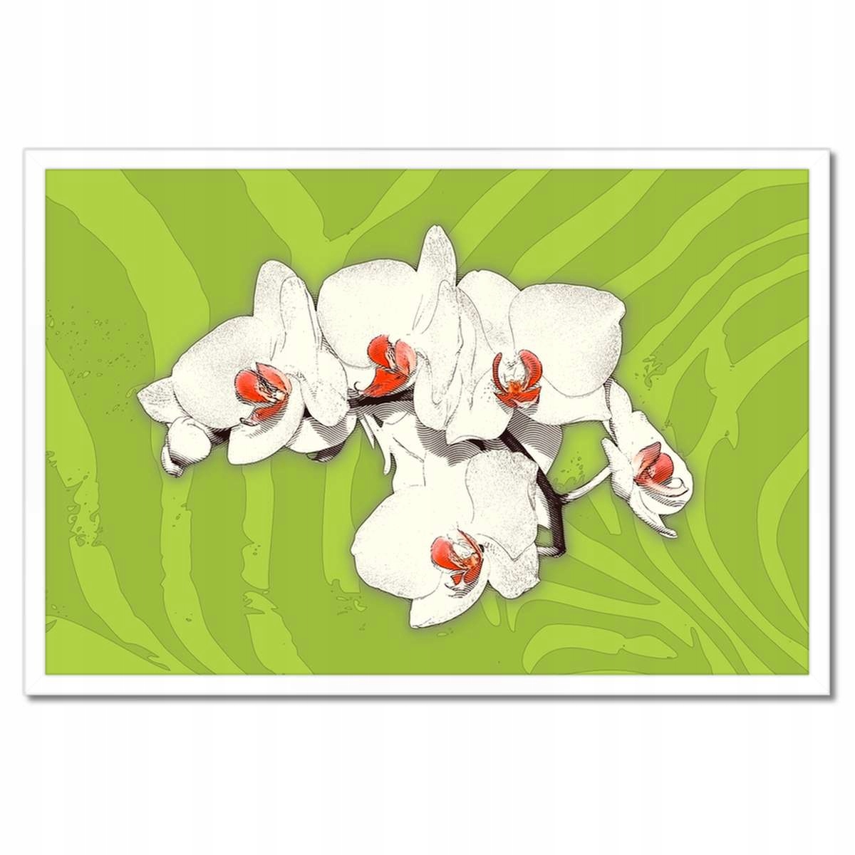 Plakáty v rámu 60x40 Limetka a orchidej
