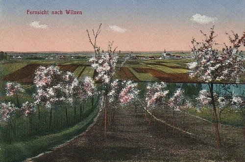 

Wilkszyn panorama Reprodukcja 28330