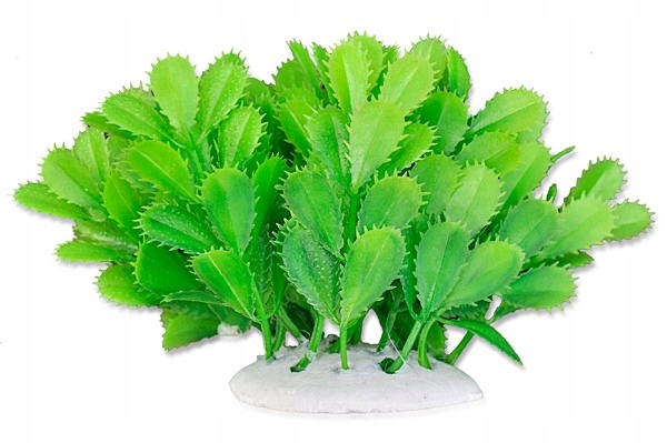 

Happet Dekoracja akwarium Roślina Folia 10cm 1F10