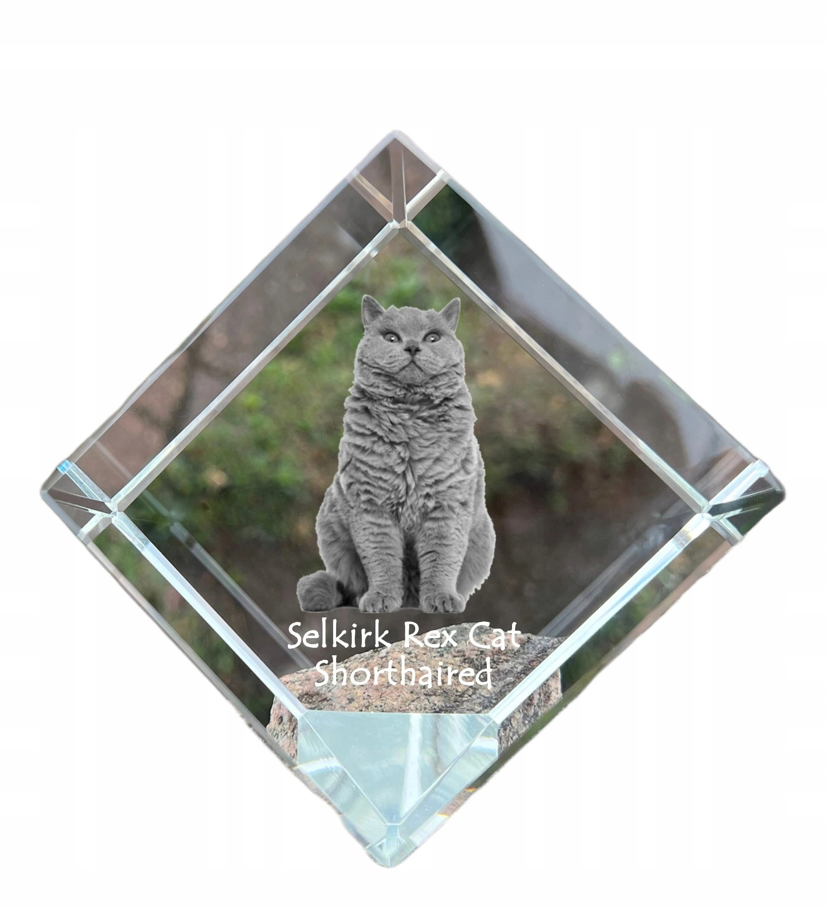 Mačka Selkirk Rex krátkosrstá krištáľová kocka s fotografiou mačky, ozdoba