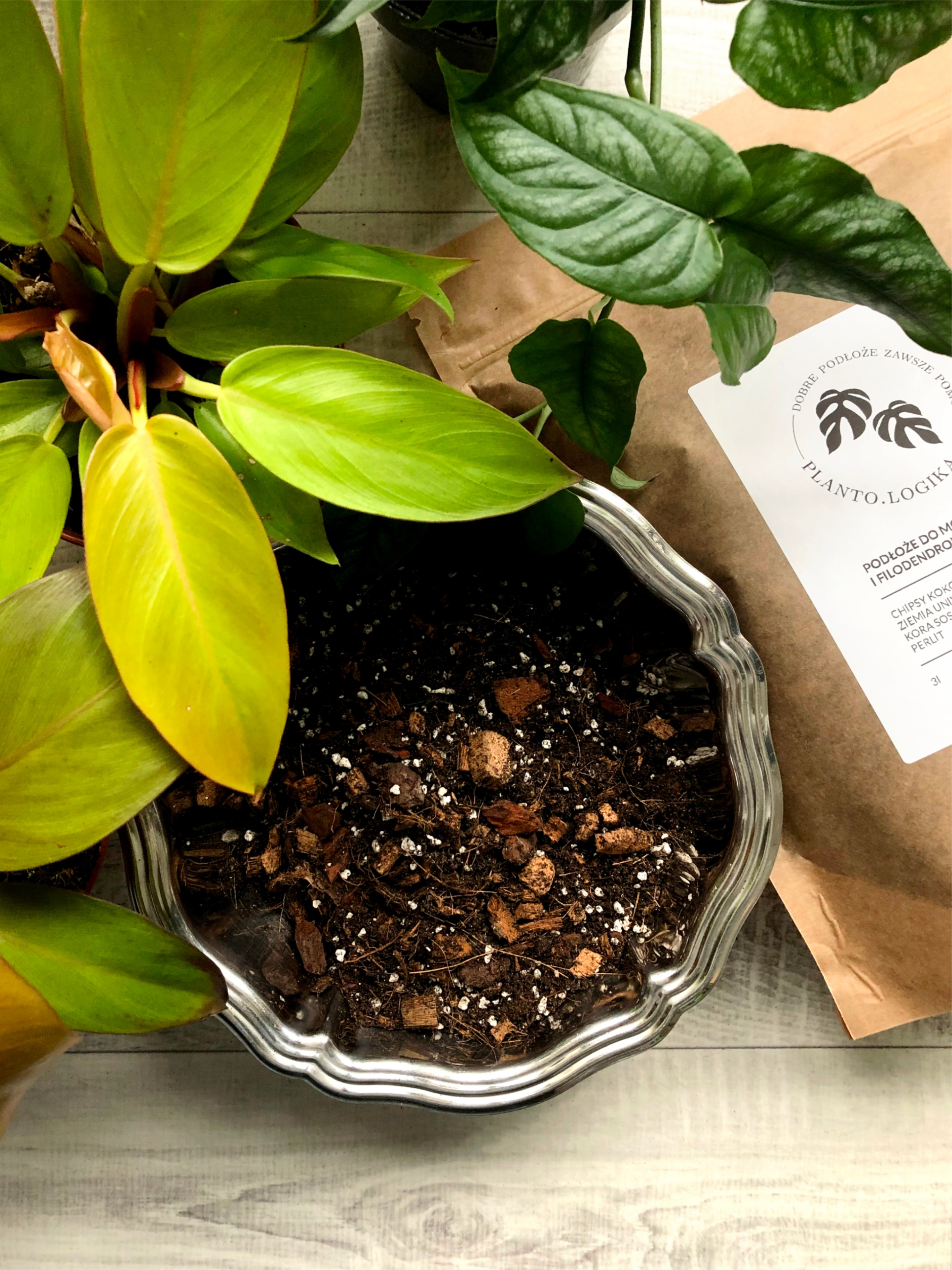 

Podłoże do Filodendronów i Monster 2L