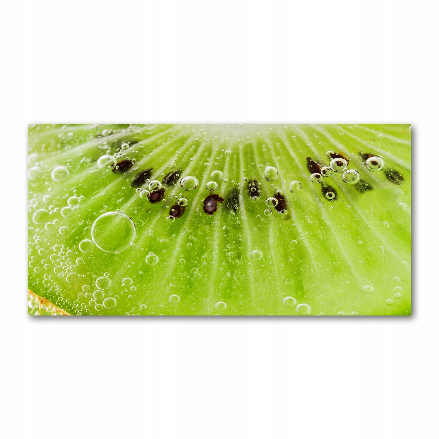 

Foto obraz zdjęcie szkło hartowane Kiwi 140x70