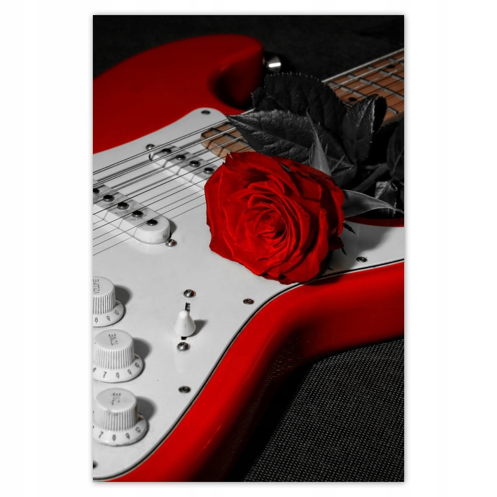 

Plakaty 62x93 Róża Gitara elektryczna