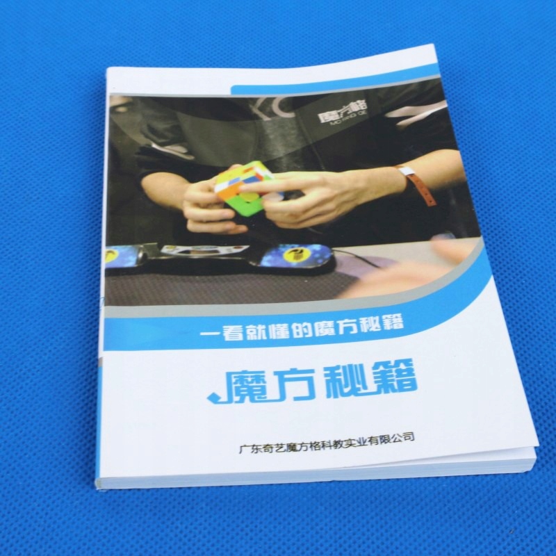 Zestaw QiYi Megaminx + Pyraminx + Skewb + Ivy Cube Marka inna