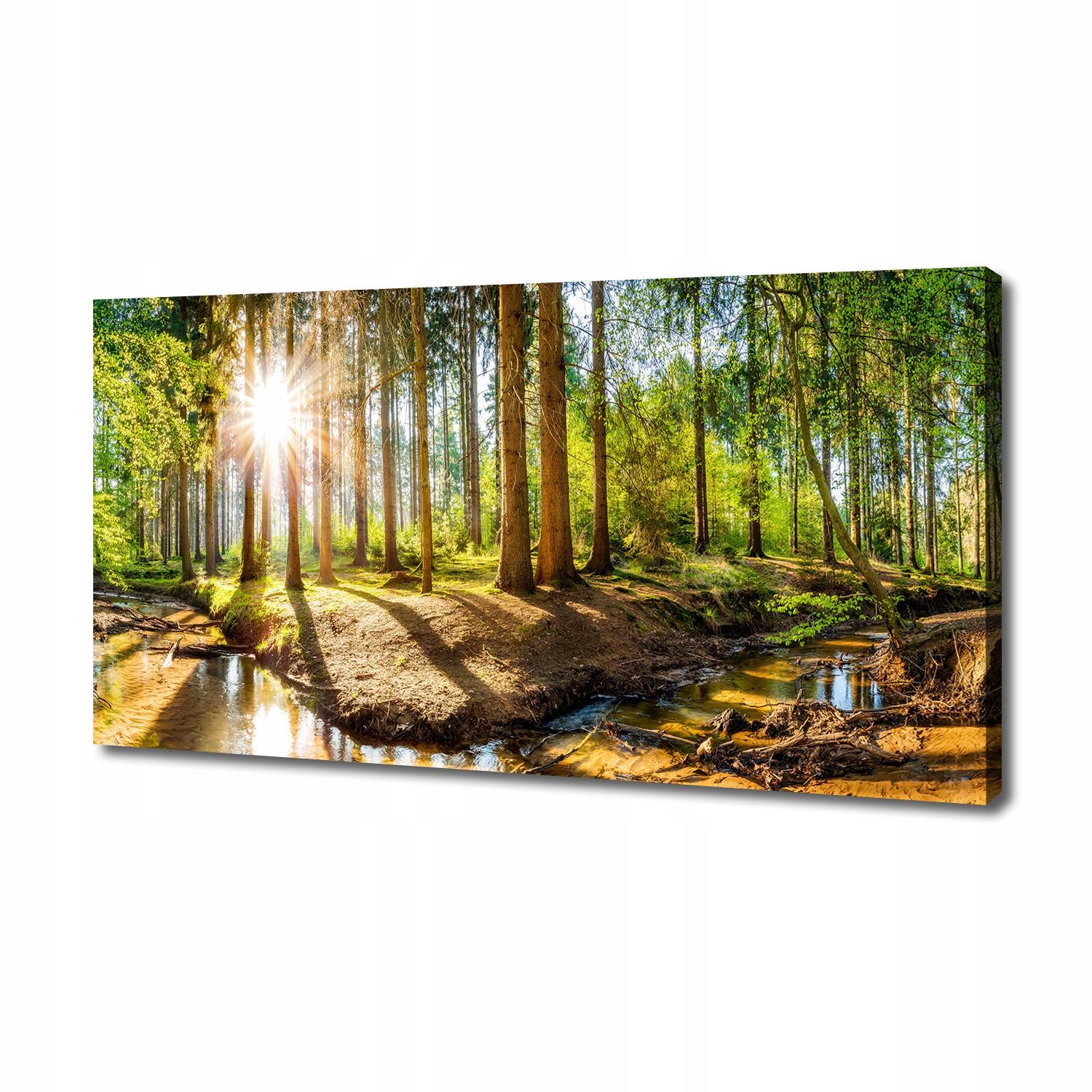 

Foto obraz duży na płótnie Panorama las 140x70 cm