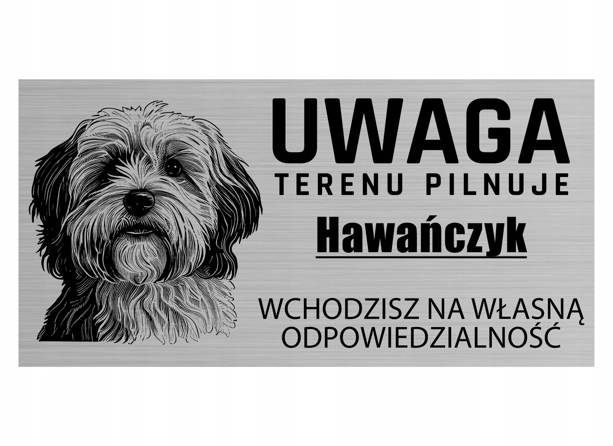 

Tabliczka Uwaga Pies Terenu Pilnuje Hawańczyk