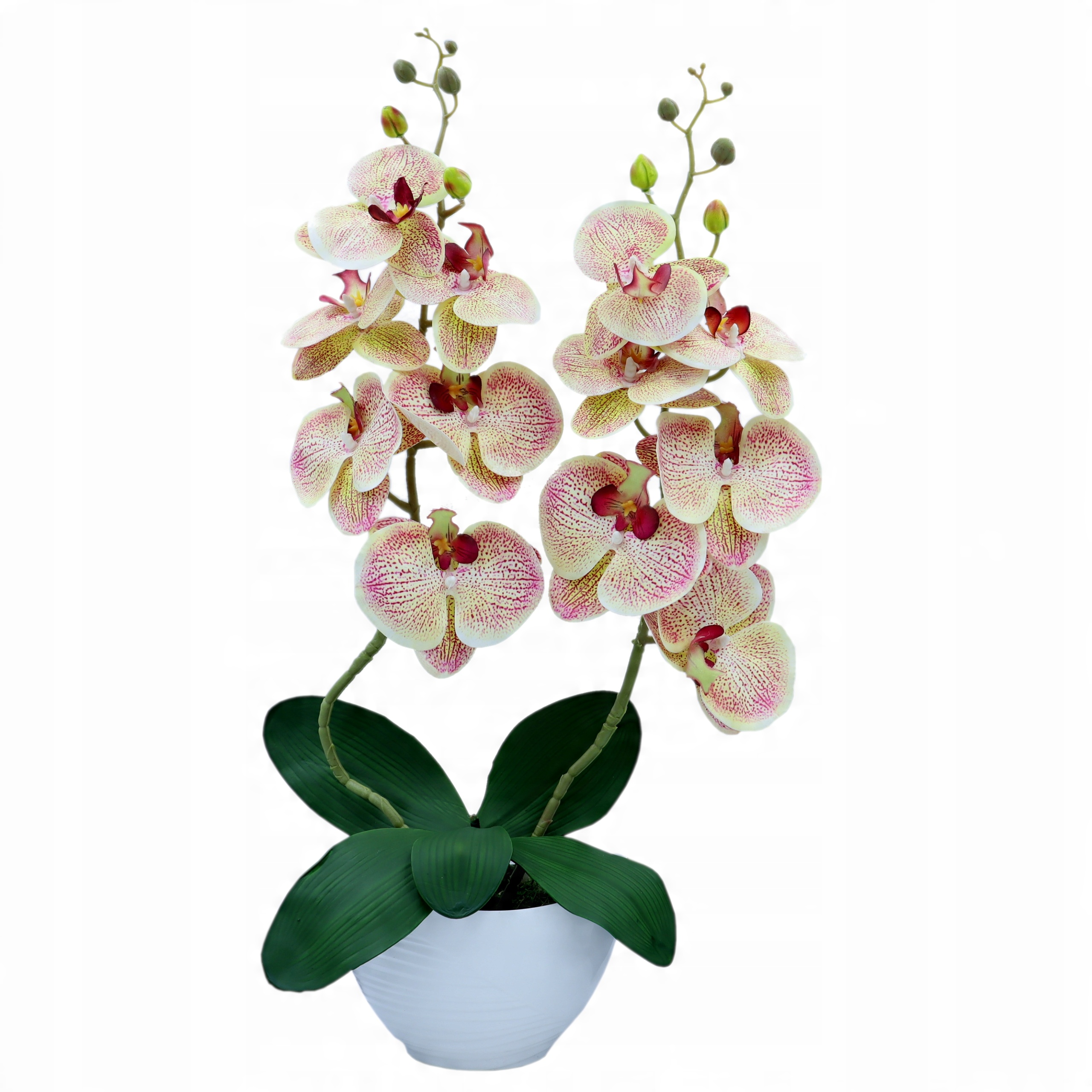 

Storczyk sztuczny 2 pędy 62cm Złoty Złocisty