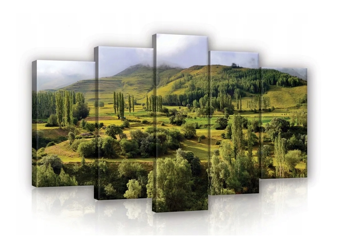 Obraz 100x60 Příroda krajina údolí kopce stromy zeleň klid harmonie