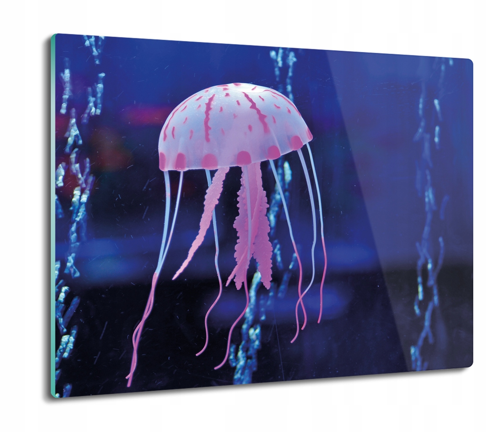 

Różowa meduza ocean 60x52 deska nowoczesna szklana