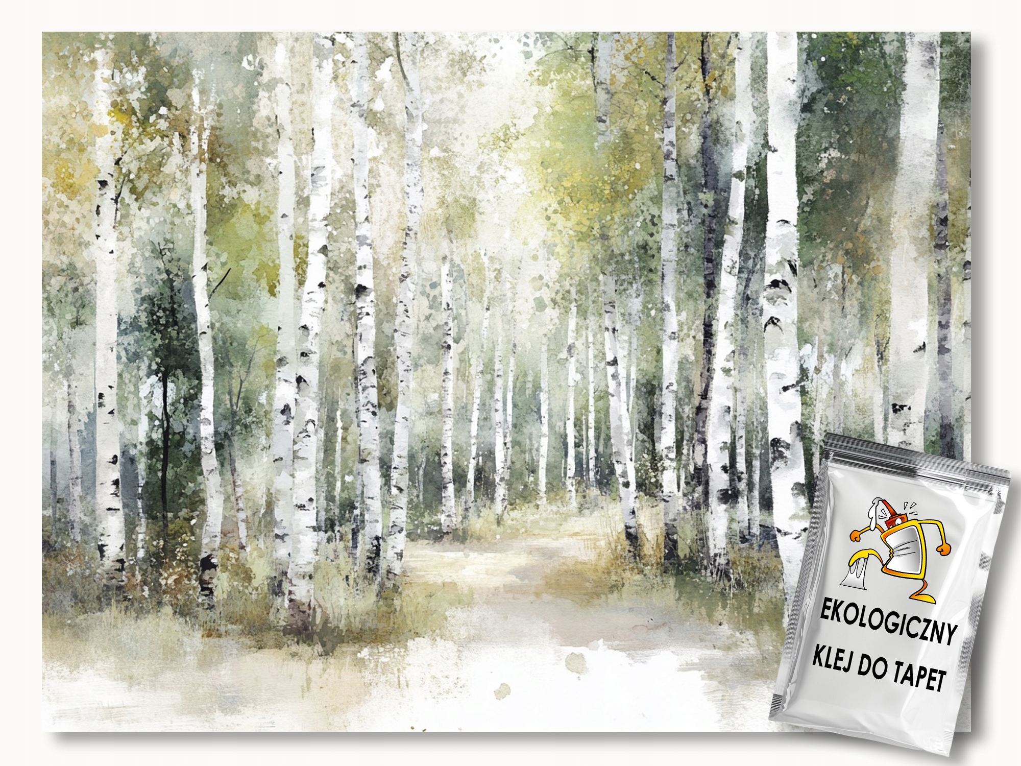 Fototapeta Flizelina Krajina Les Stromy Břízy Stezka 250x175 155g
