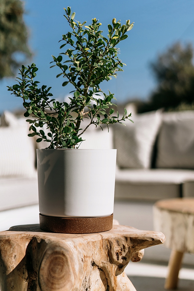 DONICZKA OSŁONKA Z PODSTAWKĄ TUBO PM BIAŁA 15CM Marka Prosperplast