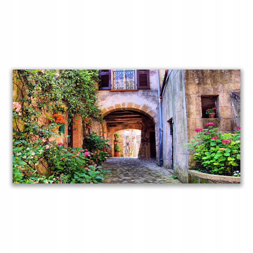 

Fotoobraz akryl 140x70 Alejka Kwiaty Domy Roślina