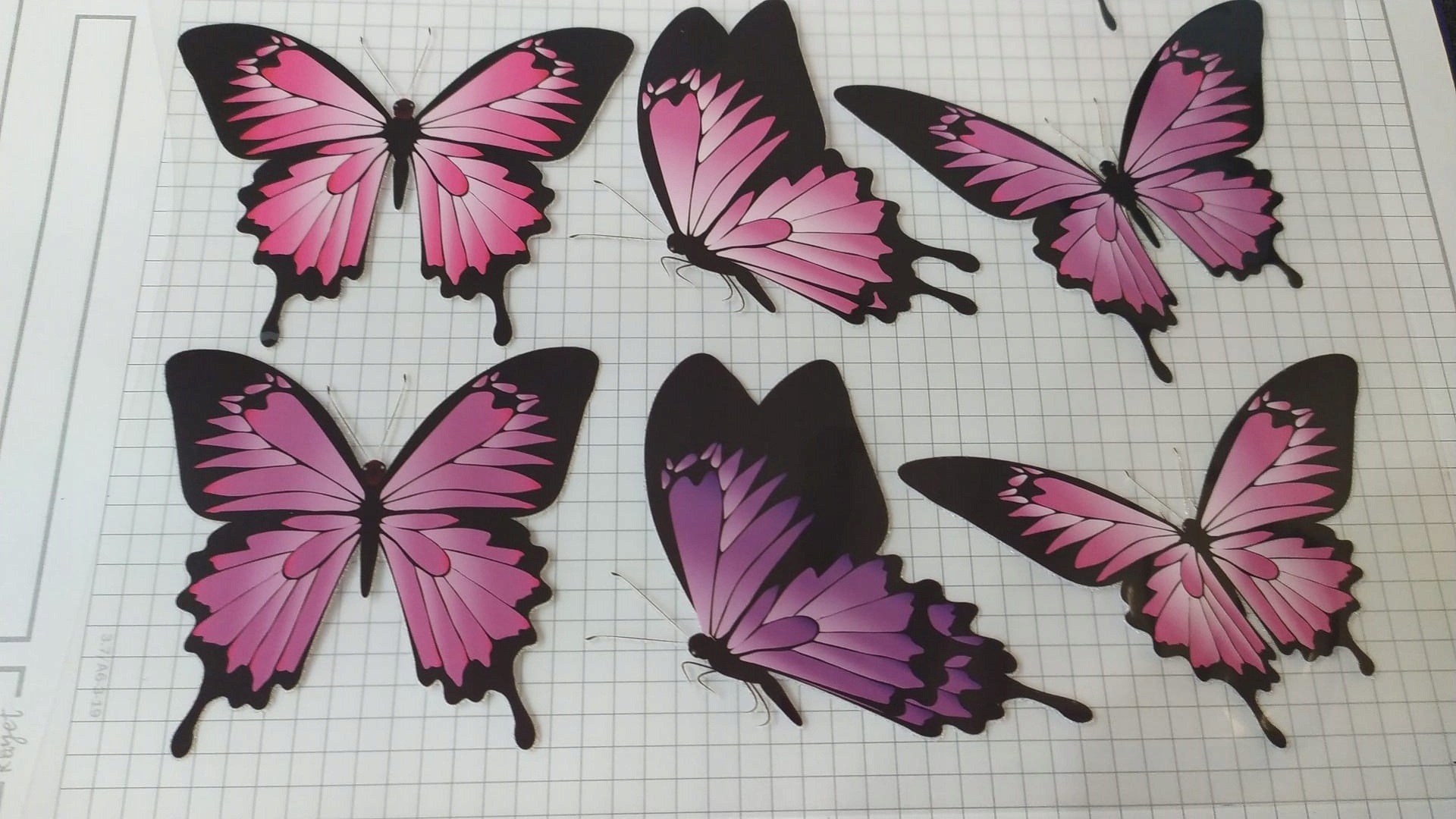 TERMO NAKLEJKA APLIKACJA NAPRASOWANKA duże motyle arkusz MT-1 Model ARKUSZ MOTYLI