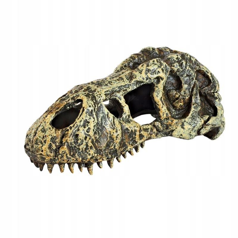 

Kryjówka terrarium czaszka tyranozaura 14x7,5x6,5