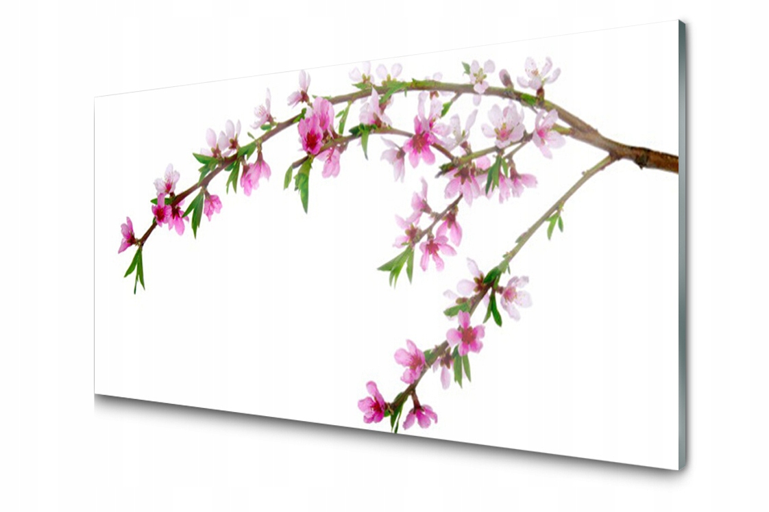 

Panel szklany dekor Gałąź Kwiat 120x60 + Klej