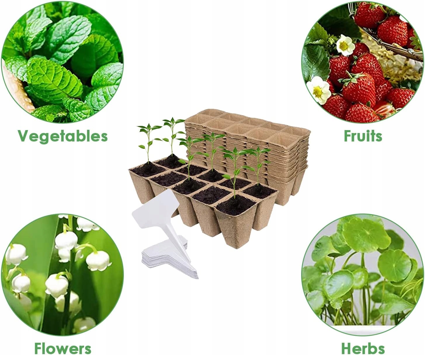 ZESTAW BIODEGRADOWALNYCH DONICZEK DO UPRAWY NASION SADZONEK ZIÓŁ ROŚLIN Materiał wykonania inny