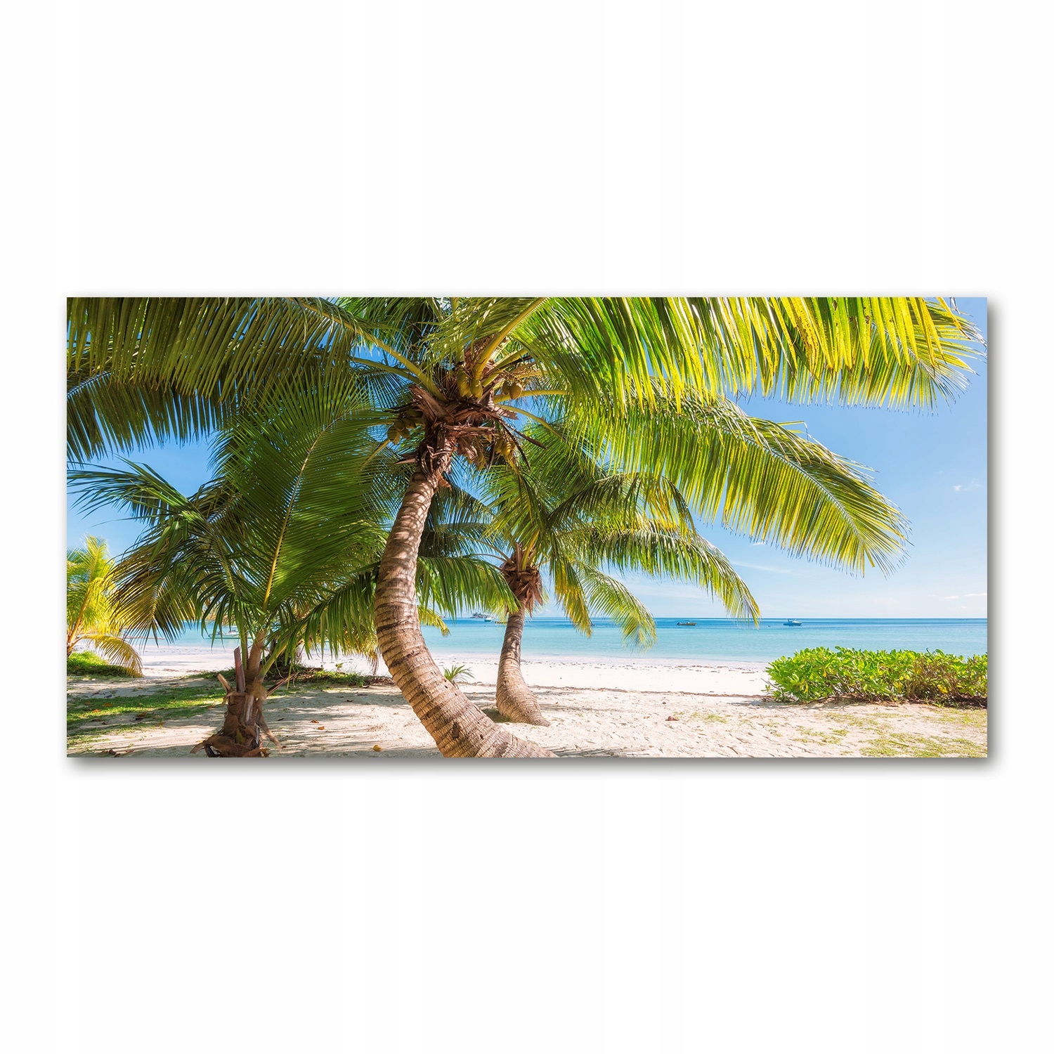 

Foto obraz szkło akryl Tropikalna plaża 120X60 cm