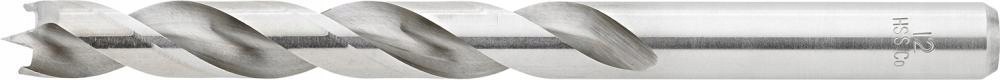 Vrták spirálový do dřeva 15x114/169 mm Hss, stopka 10 mm Fortis (4221218401)