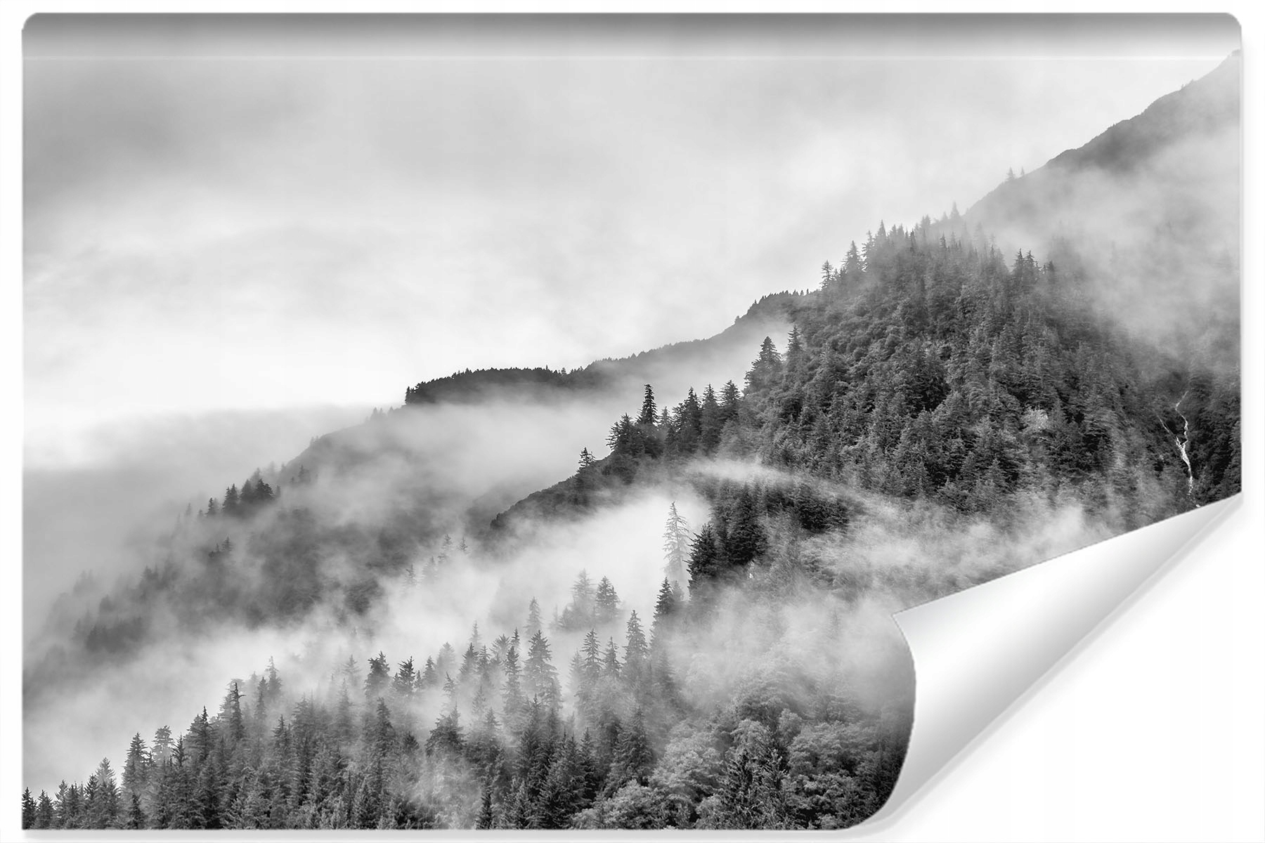 

Fototapeta do Salonu Las we Mgle Góry 3D 300x210