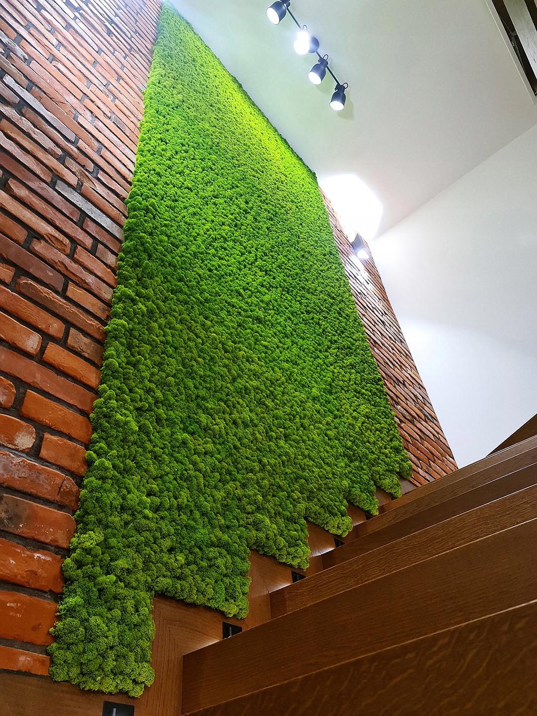 Mech chrobotek fiński 500g netto jasny zielony Forma w kartonie