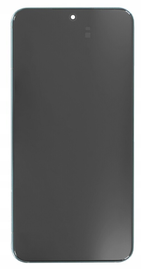 LCD displej Dynamic Amoled pre Samsung S901
