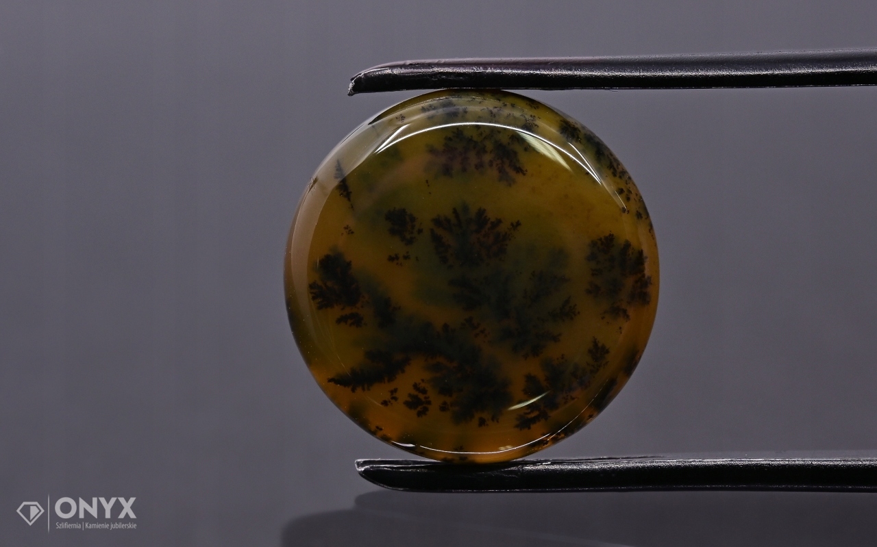 Dendritový achát z Kazachstánu konvexní mělký kruh