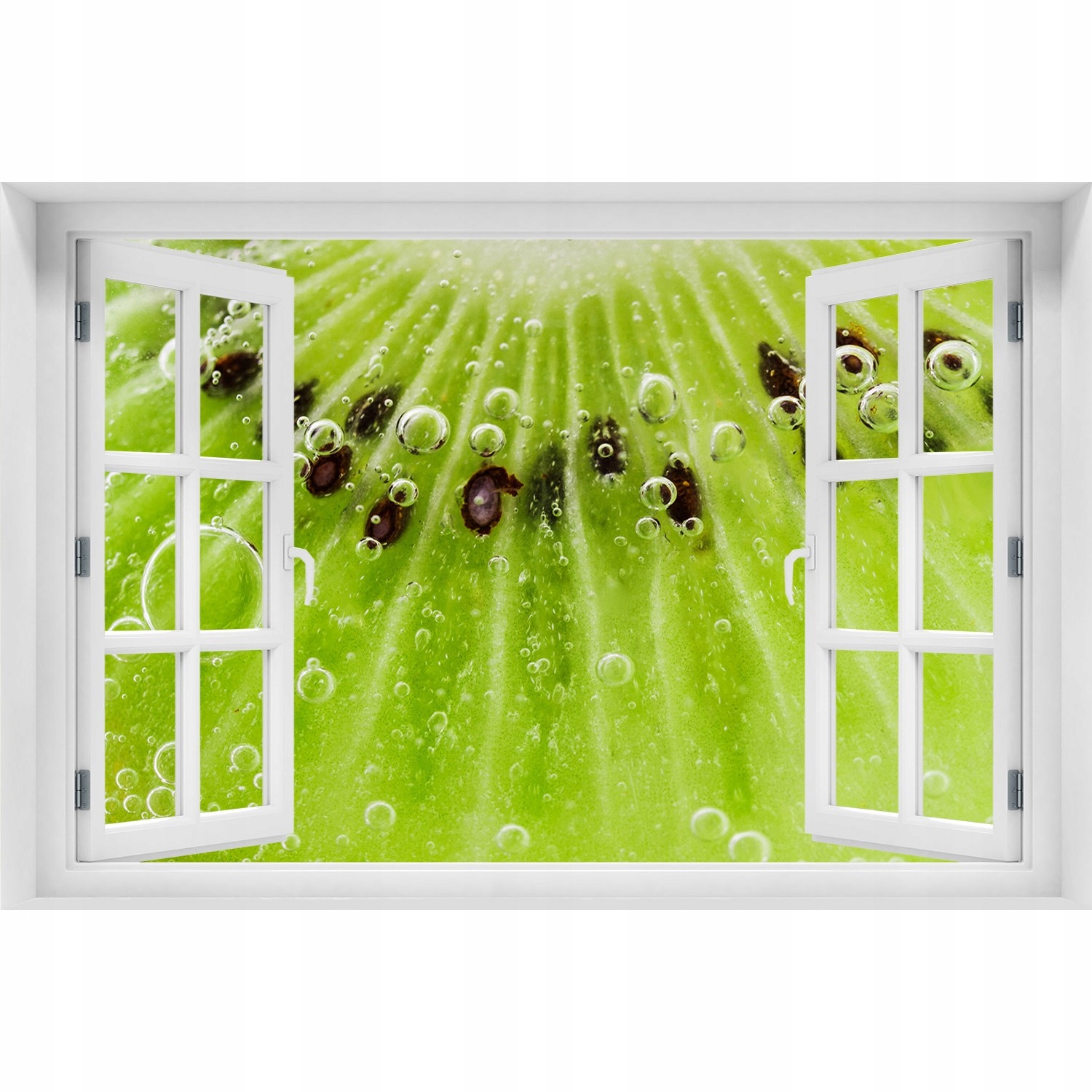 

Naklejka ścienna Okno samoprzylepne Kiwi 120x80