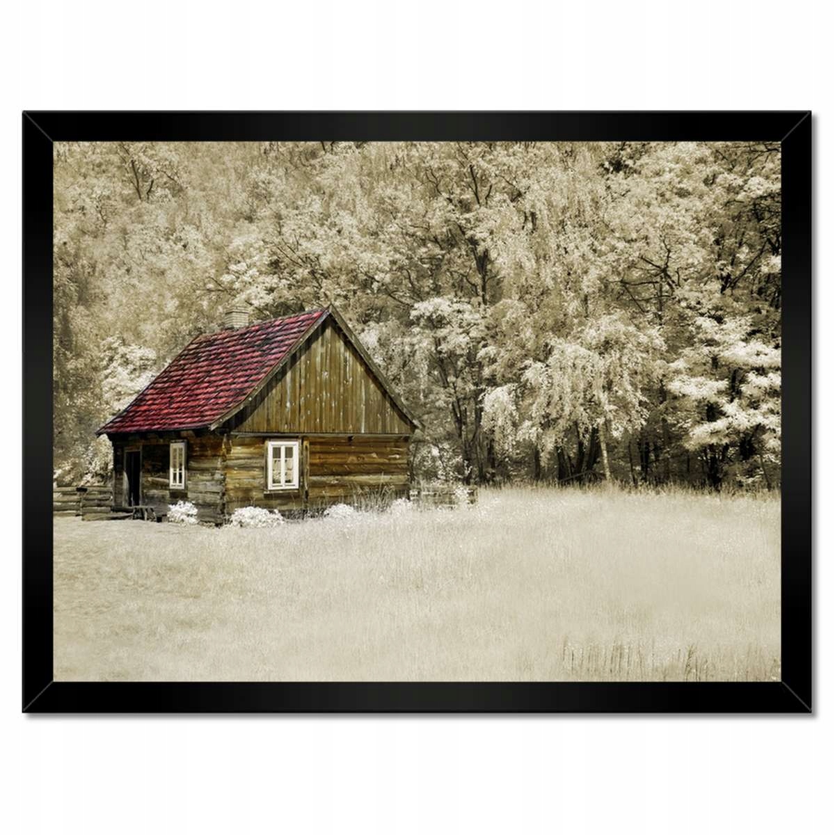 Plakáty v rámu 40x30 Baleův srub